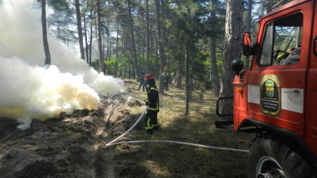 Рятувальники спільно з лісовою охороною тренувалися ліквідовувати масштабну лісову пожежу з розгортанням містечка забезпечення та польового парку